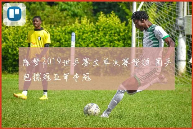 陈梦2019世乒赛女单决赛登顶 国乒包揽冠亚军夺冠