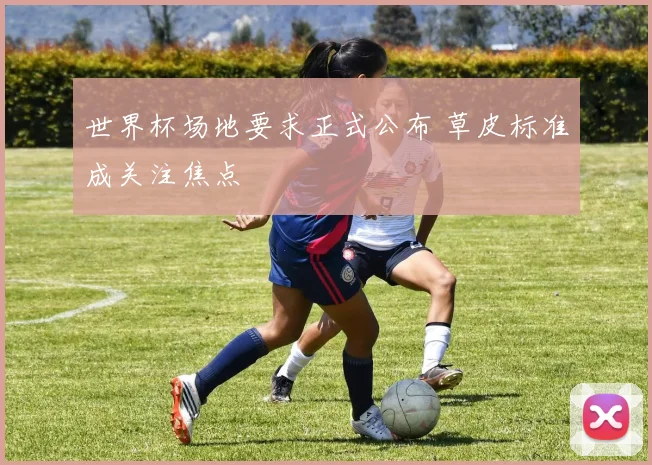 世界杯场地要求正式公布 草皮标准成关注焦点