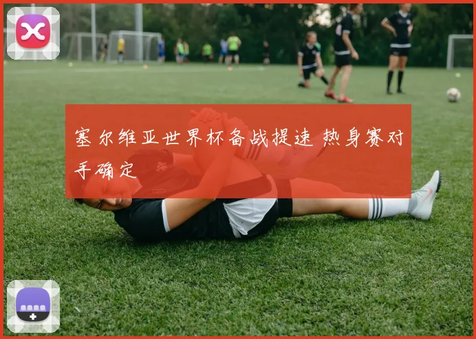 塞尔维亚世界杯备战提速 热身赛对手确定
